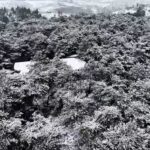 İstanbul’da kar yağışı, Başakşehir’deki Şamlar Tabikat Parkı’nı beyaza bürüdü, dronla görüntülendi.