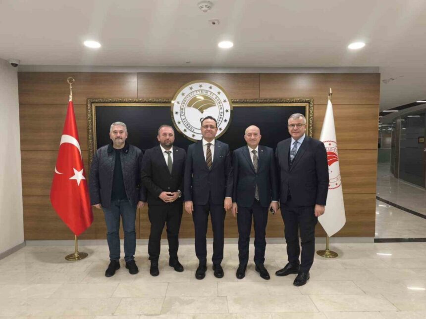 Karabiga’daki Şeremetdere köprülerinin yenileme süreci başlıyor, Başkan Elbi müjdeyi verdi. Karabiga’daki Şeremetdere köprülerinin yenileme süreci başlıyor, Başkan Elbi müjdeyi verdi.