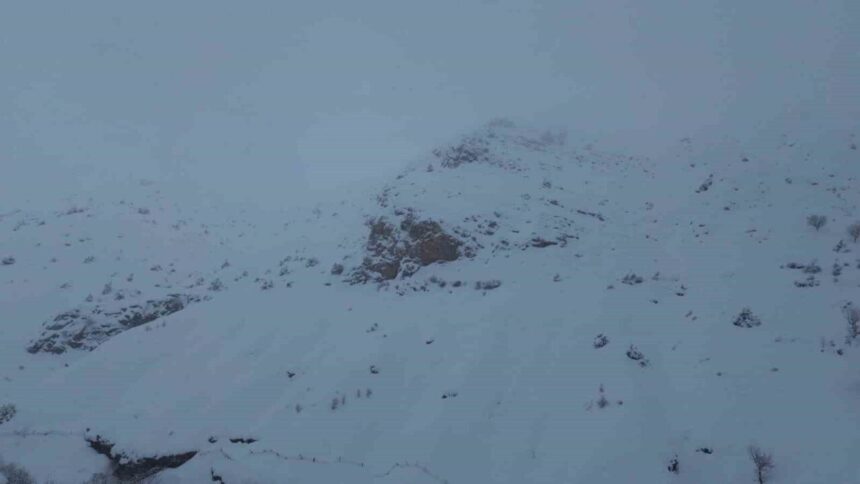 Batman’ın Sason ilçesindeki Yücebağ beldesinde çığ, 45 küçükbaş hayvanın ölümüne neden oldu.