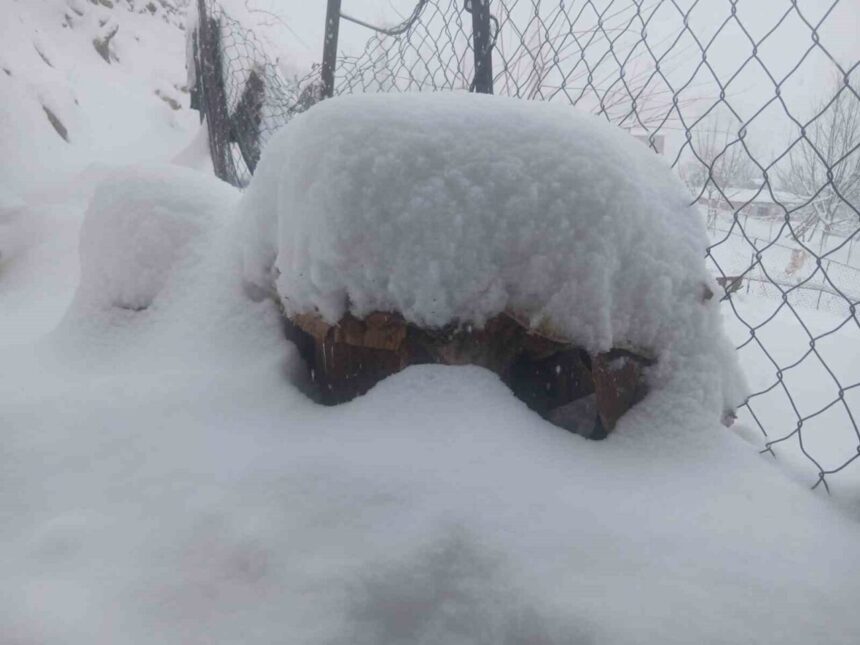 Batman’da Son 20 Yılın En Şiddetli Kar Yağışı Etkisini Sürdürüyor