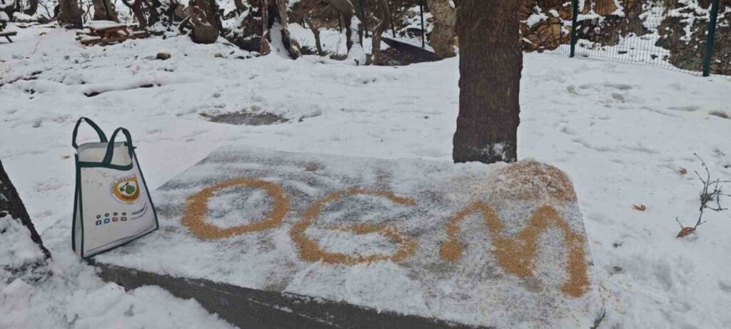 Batman’da Orman Memurları, Kar Yağışında Yaban Hayvanlarına Yem Bıraktı