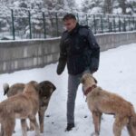 Battalgazi Belediyesi, Malatya’nın ikinci hayvan barınağında hayvan kabulüne başladı.