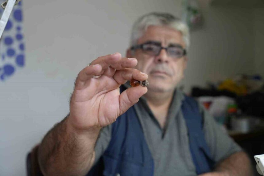 Bayburt’ta kehribar ustası Bayram İpek, taşında böcek fosili bulduğunu açıkladı.