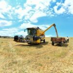 Bayburt’ta Hayvancılığa Destek Projesi ile Üreticilere Yüzde 40 Yem Desteği Sağlanacak