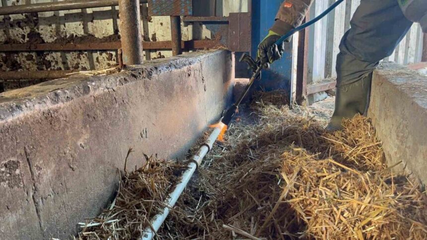 Eskişehir’de soğuk hava su şebekelerini donduruyor, besiciler hayvanlarını sulamakta zorluk çekiyor.