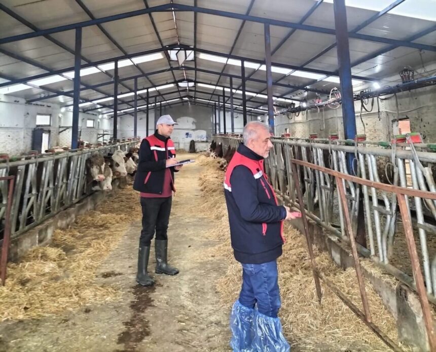 Afyonkarahisar Tarım ve Orman Müdürlüğü, besicilik işletmeleri için ‘kapasite ölçümleri’ yapıyor.