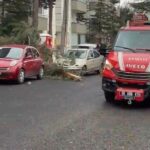 Beypazarı’nda Fırtına Nedeniyle Ağaç Park Halindeki Aracın Üzerine Devrildi