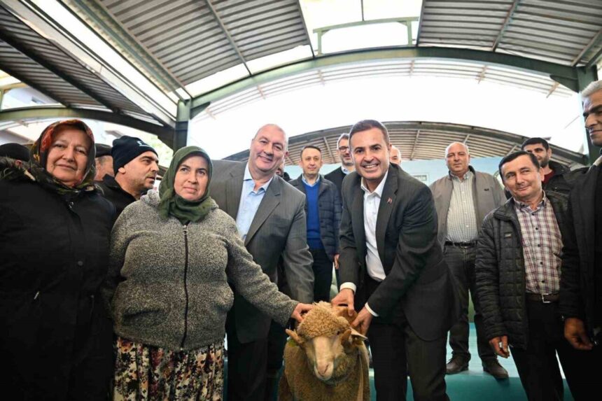 Balıkesir Başkanı Akın, Bigadiç’te damızlık koç dağıttı: “Amaç, verim ve kaliteyi artırmak” Balıkesir Başkanı Akın, Bigadiç’te damızlık koç dağıttı: “Amaç, verim ve kaliteyi artırmak”