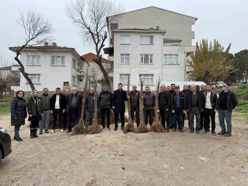 Osmaneli’nde çiftçilere meyve fidanı desteği verildi.