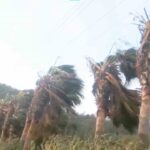 Muğla’da Bodrum, Marmaris ve Datça için kuvvetli fırtına uyarısı yapıldı.