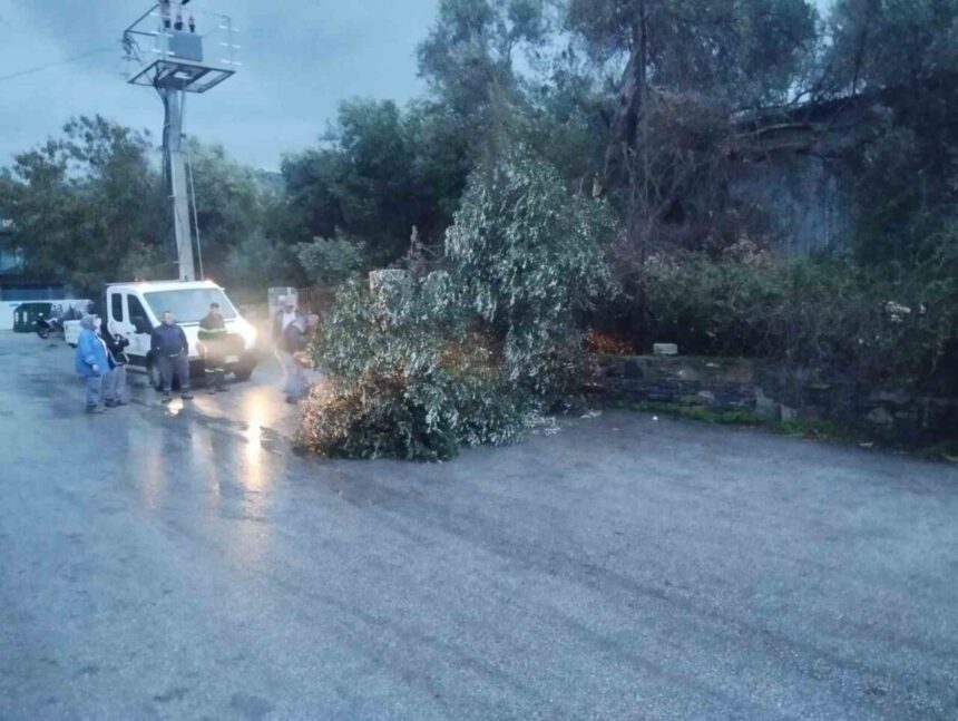 Bodrum’da etkili fırtına ağaçları devirdi, tekneler su aldı; bazı bölgelerde elektrik kesintisi yaşandı. Bodrum’da etkili fırtına ağaçları devirdi, tekneler su aldı; bazı bölgelerde elektrik kesintisi yaşandı.