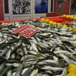 Bolu’daki halk pazarında balık çeşitliliği olumsuz hava koşulları nedeniyle düştü.