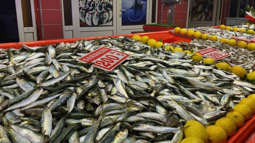 Bolu’daki halk pazarında balık çeşitliliği olumsuz hava koşulları nedeniyle düştü. Bolu’daki halk pazarında balık çeşitliliği olumsuz hava koşulları nedeniyle düştü.