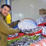 Bilecik’te Geçen Yılın Gözdesi Palamut Yerini Hamsiye Bıraktı