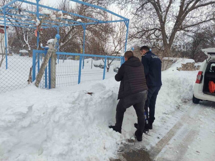 Bünyan Belediyesi, soğuk havalarda sokak hayvanlarına mama dağıtımı yaptı. Bünyan Belediyesi, soğuk havalarda sokak hayvanlarına mama dağıtımı yaptı.