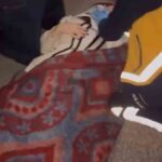 Bursa’da ters yönde ilerleyen otomobilin sebep olduğu zincirleme kazada 6 kişi yaralandı.