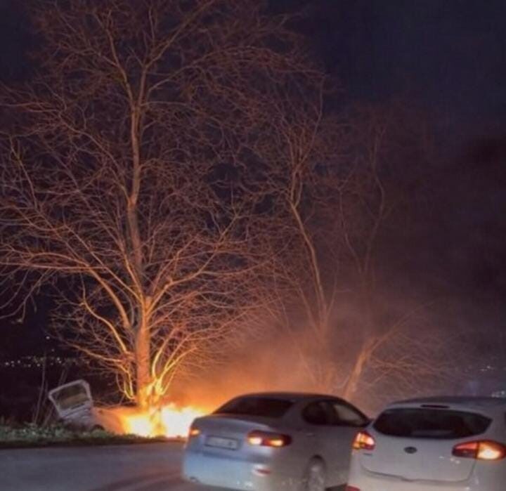 Bursa’da kontrolden çıkan otomobil ağaçla çarpıp alev aldı, çevredekiler yangına müdahale etti.