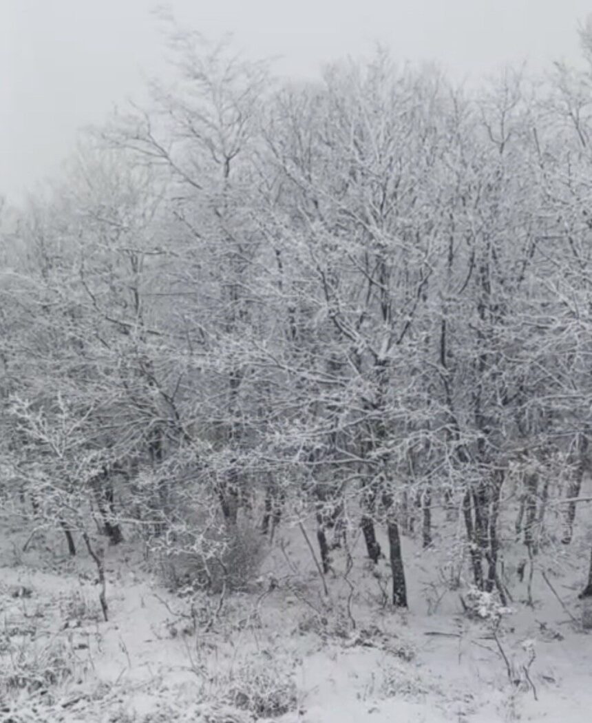 Çanakkale’de kar yağışı yüksek kesimleri beyaza boyadı, doğada kartpostallık manzaralar ortaya çıktı. Çanakkale’de kar yağışı yüksek kesimleri beyaza boyadı, doğada kartpostallık manzaralar ortaya çıktı.