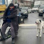 Çorlu’da ‘Karagöz’ adlı köpeğiyle birlikte her yere giden vatandaş, gözleri de dolduruyor.