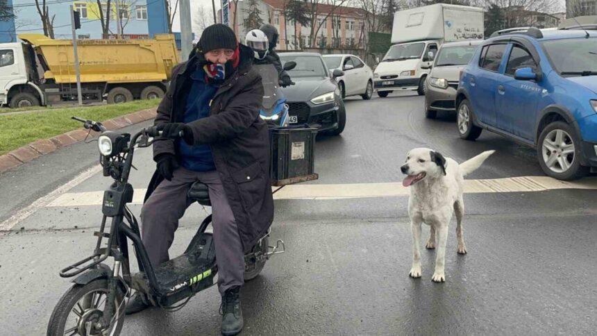 Çorlu’da ‘Karagöz’ adlı köpeğiyle birlikte her yere giden vatandaş, gözleri de dolduruyor. Çorlu’da ‘Karagöz’ adlı köpeğiyle birlikte her yere giden vatandaş, gözleri de dolduruyor.