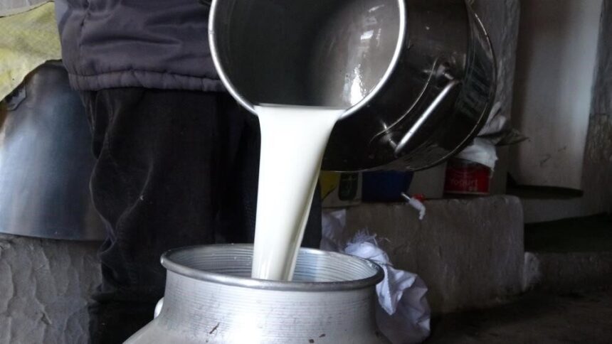 Ulusal Süt Konseyi, çiğ süt fiyatını 22 Ocak 2026’dan itibaren litre başına 22,22 TL olarak belirledi. Ulusal Süt Konseyi, çiğ süt fiyatını 22 Ocak 2026’dan itibaren litre başına 22,22 TL olarak belirledi.