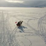 Çıldır Gölü’nün yüzeyi soğuk hava nedeniyle buzla kaplandı. Atlı kızak seferleri yeniden başladı.