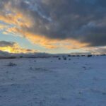 Çimsa, Eskişehir fabrikası için kritik olan Beyaz Kalker Sahası ruhsat iptali sürecini başlattı.