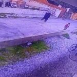 Manisa’da ‘Paşa’ isimli köpeği çocukların önünde öldüren kişi hakkında işlem başlatıldı.