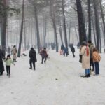 Çorum’daki Çatak Tabiat Parkı’nda kar festivali büyük ilgi topladı. Ziyaretçiler halay çekip kayarak eğlendi.