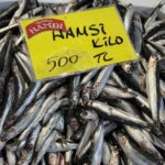 Kocaeli’deki balık tezgahlarında azalma gözlemleniyor. Balıkçı Kemal Bineklioğlu, “Bu yıl balıkta eksiklik var” dedi.