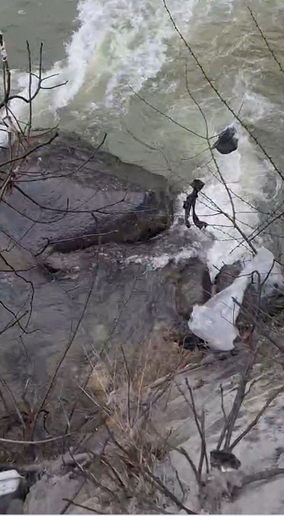 Dereli’de mahsur kalan köpek, belediye ekipleri tarafından kurtarıldı. Dereli’de mahsur kalan köpek, belediye ekipleri tarafından kurtarıldı.