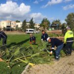 Didim Belediyesi, park ve yeşil alanların bakımı için düzenli onarım çalışmalarına devam ediyor.