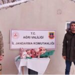 Diyadin’deki gıda ürünlerine yönelik denetimler devam ediyor.