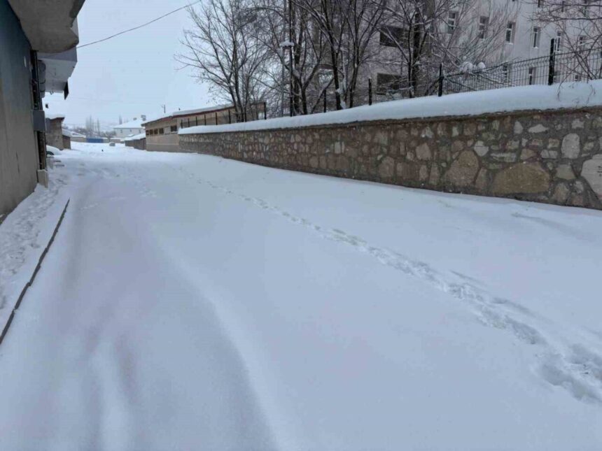 İlçede devam eden kar yağışı, yolları kayganlaştırarak ulaşımda aksamalara yol açıyor.