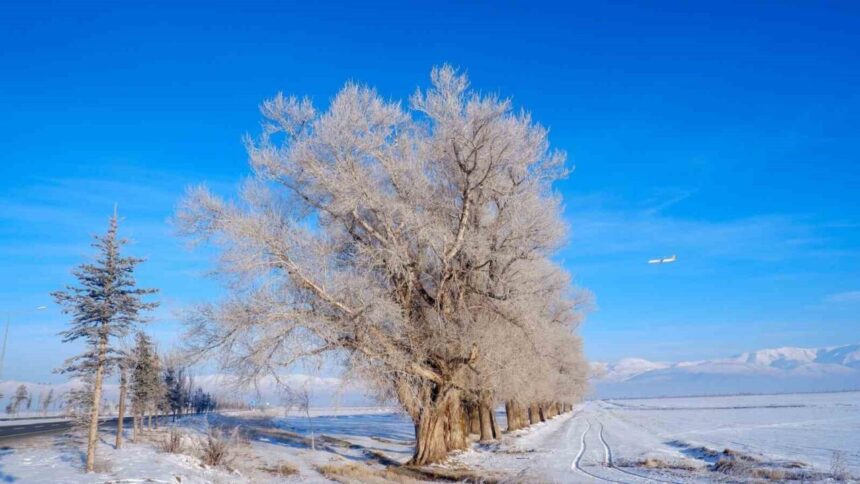 Doğu Anadolu’da soğuk etkili, Ardahan’ın Göle ilçesinde sıcaklık -27,5 dereceye düştü. Doğu Anadolu’da soğuk etkili, Ardahan’ın Göle ilçesinde sıcaklık -27,5 dereceye düştü.