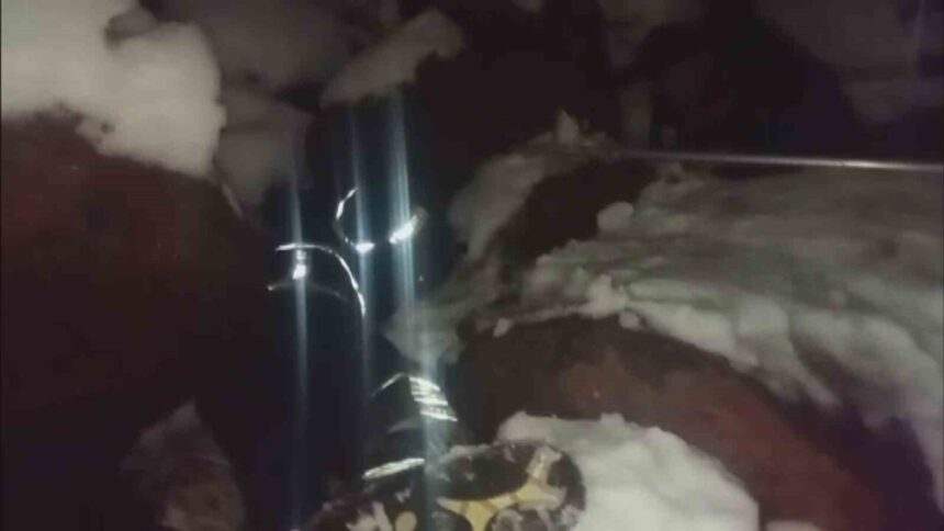 Hatay’da karla kaplı kayalarda mahsur kalan yavru köpekler itfaiye tarafından kurtarıldı.