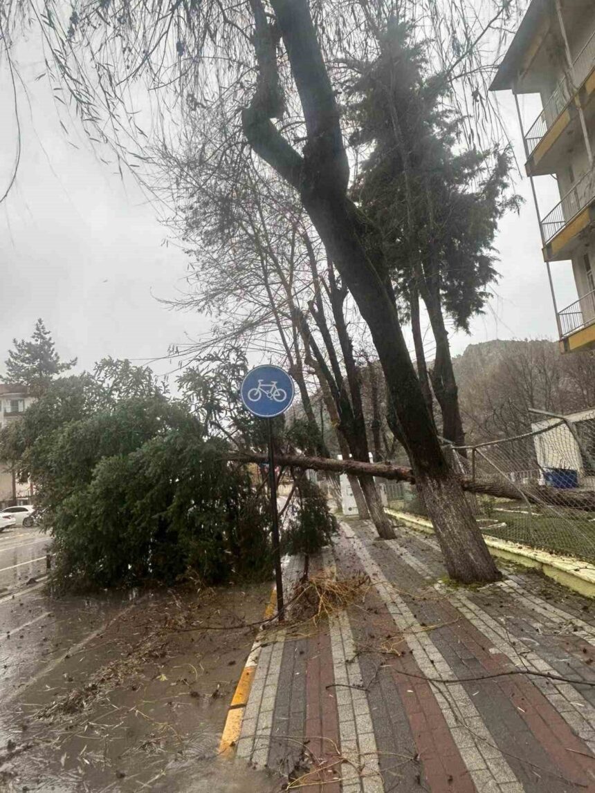 Dursunbey’de öğle saatlerinde meydana gelen fırtına, ağaçları ve çatıları devirdi. Dursunbey’de öğle saatlerinde meydana gelen fırtına, ağaçları ve çatıları devirdi.