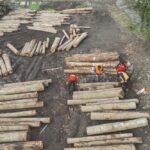 DÜZCE’de orman ürünü ihracatı 2025’te 23 bin 391 ton oldu, geçen yıla göre artış kaydedildi.