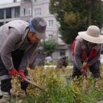 Düzce Belediyesi, 2025 yılında park ve yeşil alanlarda önemli çalışmalar gerçekleştirdi