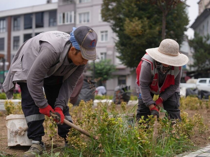 Düzce Belediyesi, 2025 yılında park ve yeşil alanlarda önemli çalışmalar gerçekleştirdi Düzce Belediyesi, 2025 yılında park ve yeşil alanlarda önemli çalışmalar gerçekleştirdi