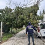 Edirne’de meydana gelen fırtına nedeniyle bir ağaç park halindeki aracın üzerine devrildi.