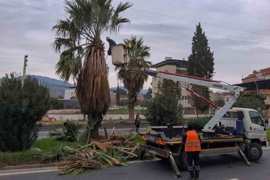 Efeler Belediyesi ve Karayolları Genel Müdürlüğü protokolüyle Umurlu Karayolu’nda budama çalışması yapıldı. Efeler Belediyesi ve Karayolları Genel Müdürlüğü protokolüyle Umurlu Karayolu’nda budama çalışması yapıldı.