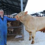 Oltu Canlı Hayvan Pazarı, eksi 15 derece soğukta yoğun ilgi gördü