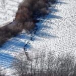 Elazığ’da kar üstünde dolaşan domuzlar dronla kaydedildi.