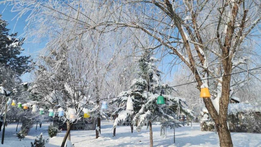 Karakoçan’da hava sıcaklığı eksi 22 dereceye düştü, ilçe genelinde don olayı yaşandı.