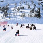 Erzincan’da “Değer Erzincan” Projesi Kapsamında 70 Öğrenci Kayak Etkinliğinde Buluştu