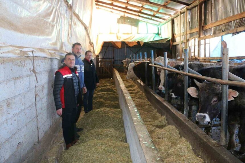 Erzincan Tarım Müdürü Koçaker, aile işletmelerini ziyaret ederek üreticilerin taleplerini aldı. Erzincan Tarım Müdürü Koçaker, aile işletmelerini ziyaret ederek üreticilerin taleplerini aldı.