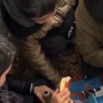 Erzincan’da kar yağışı ulaşıma engel oldu, servis aracında mahsur kalan öğrenciler yiyecekleriyle geçiştirdi.