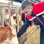 Erzurum’da tarım ve hayvancılığı desteklemek amacıyla 2025’te 1,66 milyar TL ödeme yapıldı.