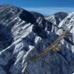 Erzurum’da nadir sakallı akbaba dronla görüntülendi.